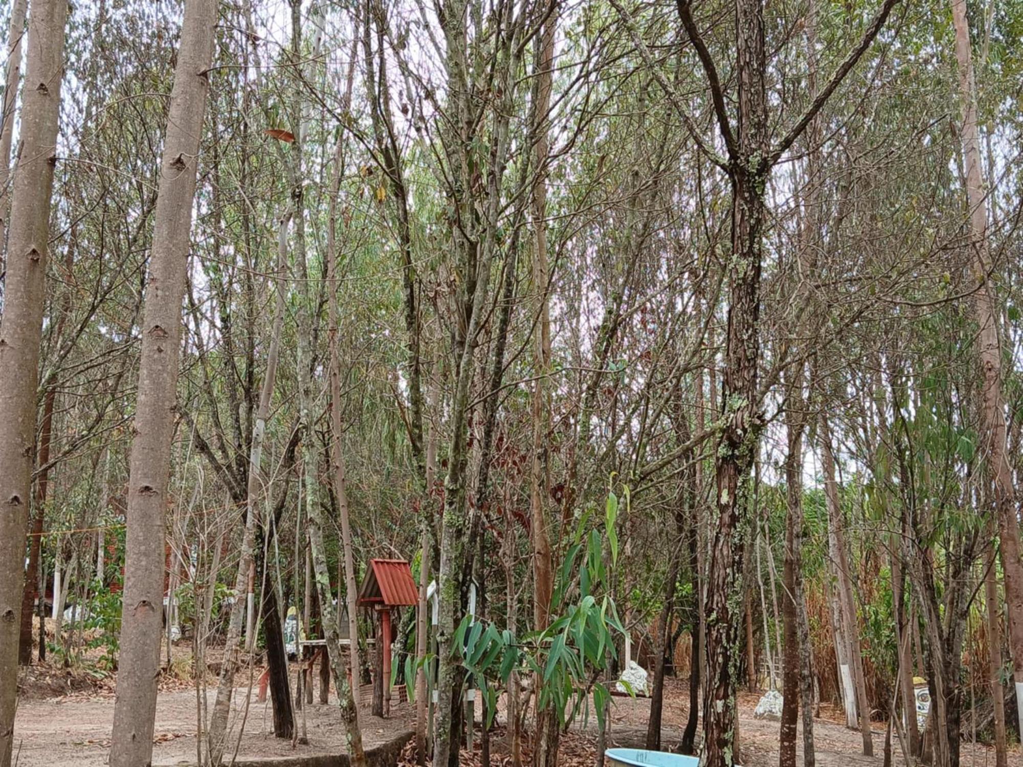 Camping Avohai São Tomé das Letras エクステリア 写真
